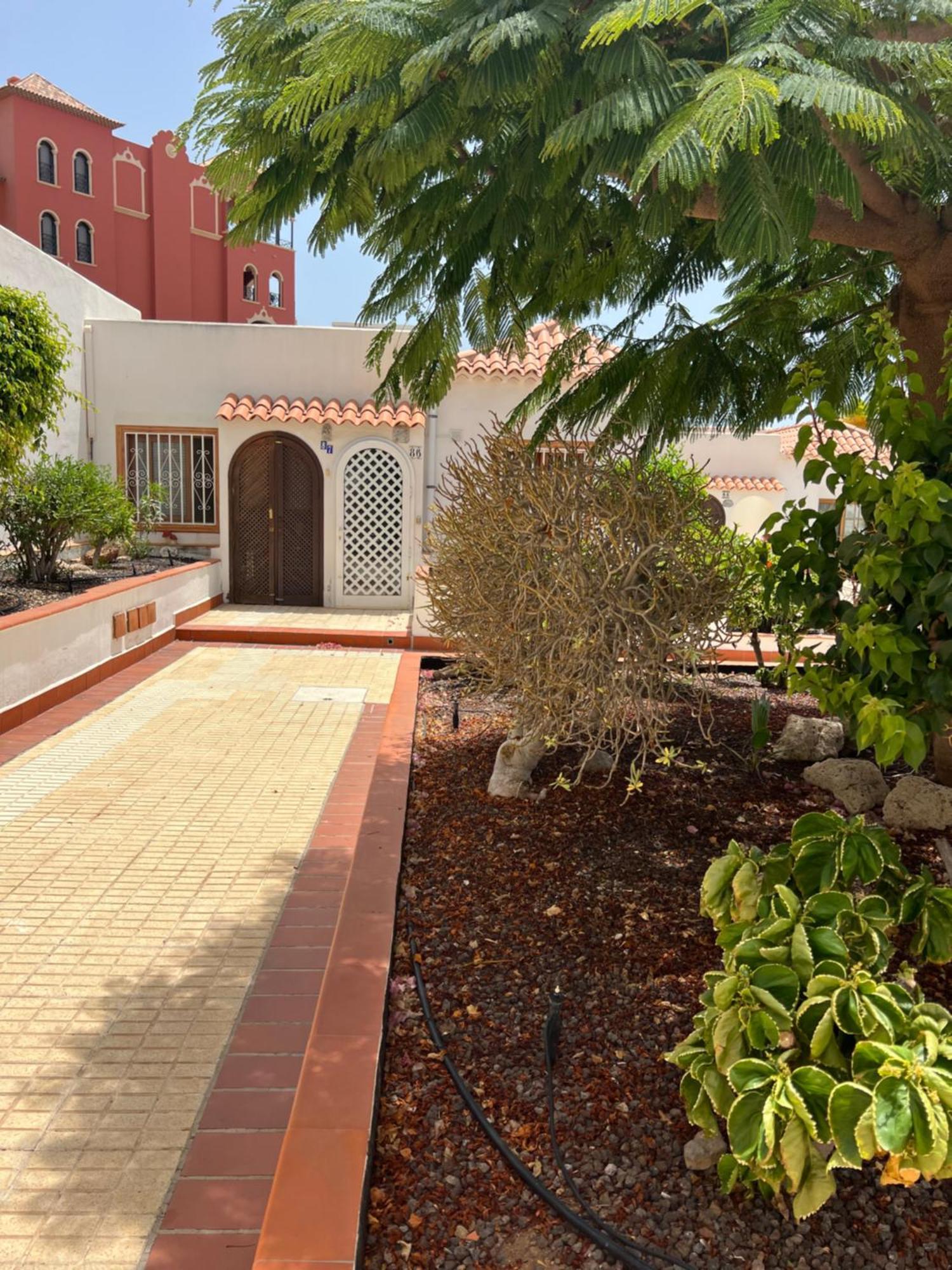 Cactus'S House, 150 M Beach, 1 Bdr, 4 Guests, Wifi, Netflix, Costa Adeje  Eksteriør bilde