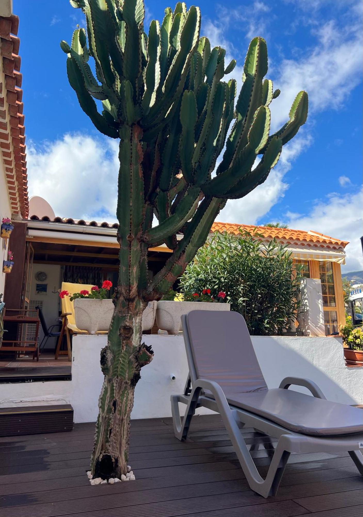 Cactus'S House, 150 M Beach, 1 Bdr, 4 Guests, Wifi, Netflix, Costa Adeje  Eksteriør bilde